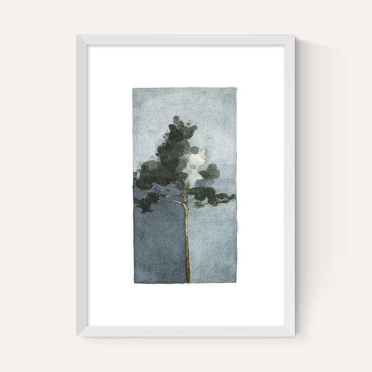 EAS-CCG-00067 Grade-C0 East End Prints East End Prints The Pine III by Jörgen Hansson 40x50 Black Framed Art Print RRP £85.00