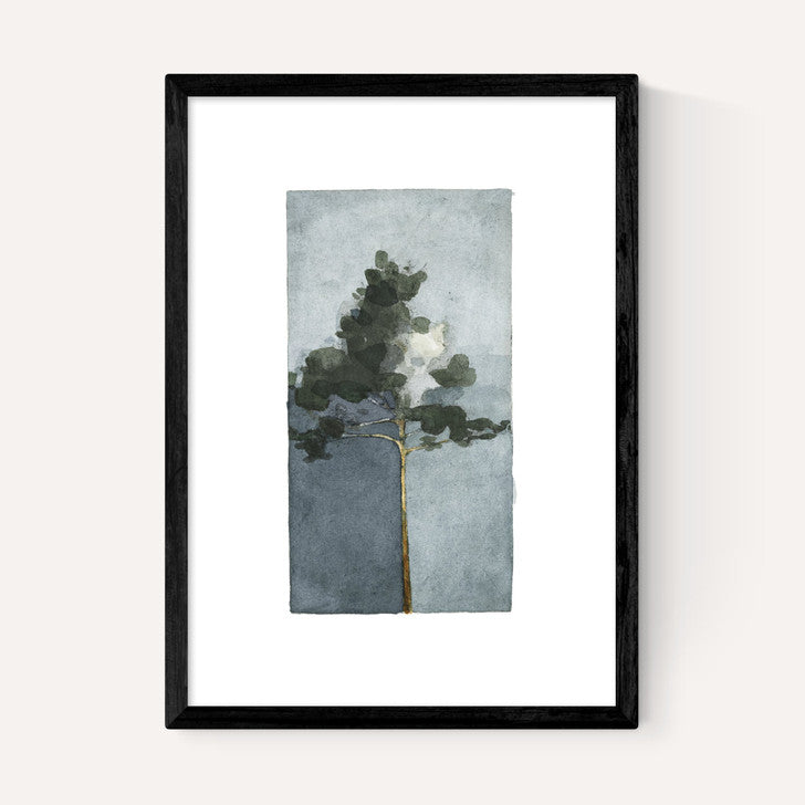 EAS-CCG-00067 Grade-C0 East End Prints East End Prints The Pine III by Jörgen Hansson 40x50 Black Framed Art Print RRP £85.00