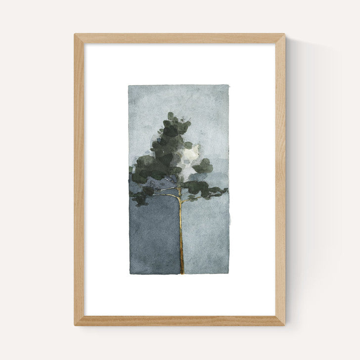 EAS-CCG-00067 Grade-C0 East End Prints East End Prints The Pine III by Jörgen Hansson 40x50 Black Framed Art Print RRP £85.00
