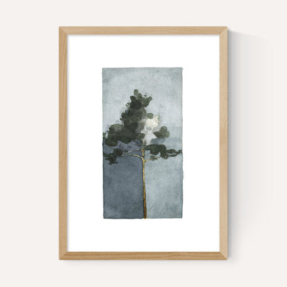 EAS-CCG-00067 Grade-C0 East End Prints East End Prints The Pine III by Jörgen Hansson 40x50 Black Framed Art Print RRP £85.00