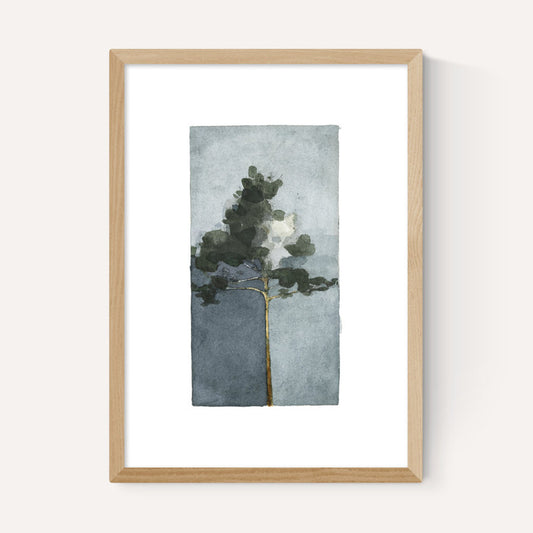 EAS-CCG-00067 Grade-C0 East End Prints East End Prints The Pine III by Jörgen Hansson 40x50 Black Framed Art Print RRP £85.00