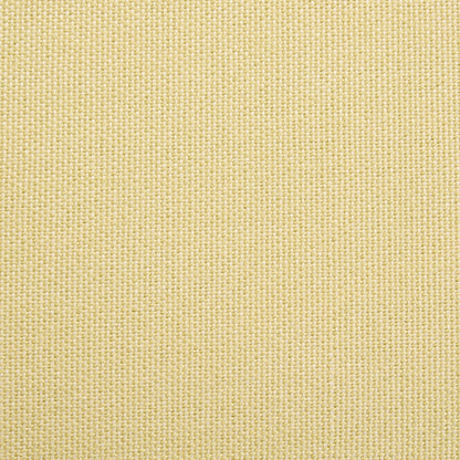 Dusk Chicago Grade B Butter Yellow Velvet Loveseat RRP £329